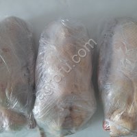 Мясо гусиное