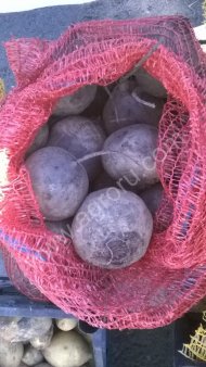 Свекла столовая