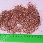 Кормовая ракушка