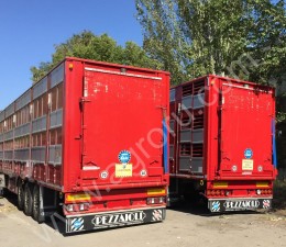 Свиновозы, Скотовозы Pezzaioli SBA63