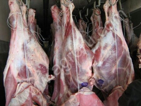 Говядина 1 кат быки/коровы охл/зам