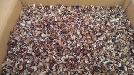 грецкий орех оптом и в розницу