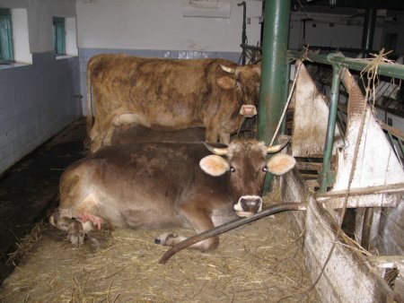 Ближнее Зарубежье из Ушаково