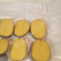 Картофель Оптом