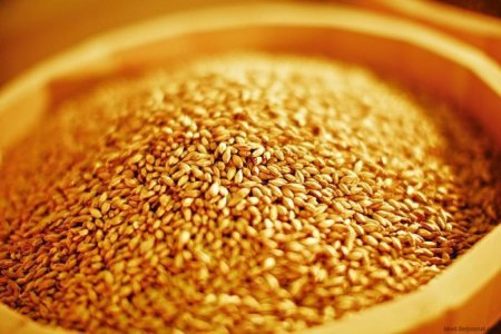 Минсельхоз подвёл итоги мониторинга ситуации на агропродовольственном рынке