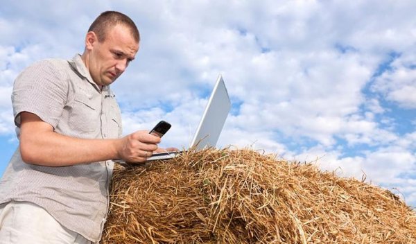 Минсельхоз планирует увеличить размер фермерского гранта и упростить условия его получения