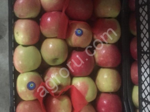 Яблоки Гренни Смит, Голден делишес, Рэд делишес, Пинк Леди