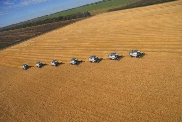 Российский экспорт зерновых в сентябре оказался ниже прошлогоднего уровня