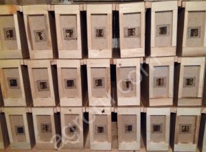 Пчелопакет