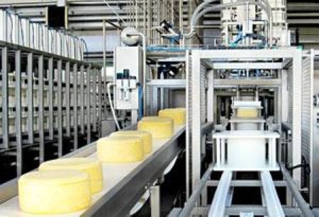 Производство молочных продуктов в I квартале 2015 года выросло на 5,2%