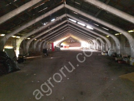 животноводческая ферма