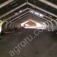 животноводческая ферма