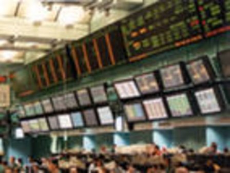 Европейская пшеница