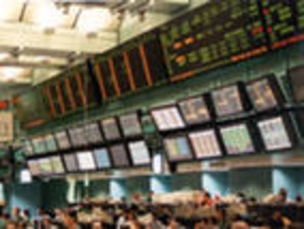 Европейская пшеница