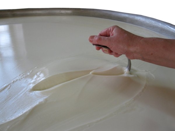 Беларусь: будет построен завод по переработке кислой молочной сыворотки