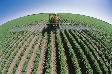 Кабмин планирует направить на развитие овощеводства до 2015 г. 30,8 млрд грн