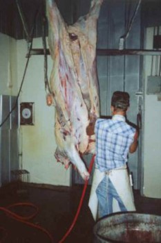 Таможенный союз утвердил объем квот на ввоз мяса в 2011 году