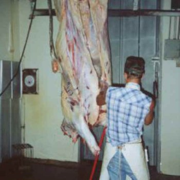 Таможенный союз утвердил объем квот на ввоз мяса в 2011 году