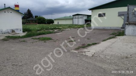 Хладобойня, предприятие по убою КРС