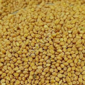 Просо желтое оптом из России / Yellow Millet from Russia | Export