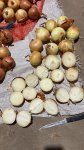 Лук репчатый 2-го сорта