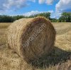 Солома пшеничная