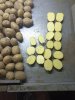 Картофель оптом из Брянской области
