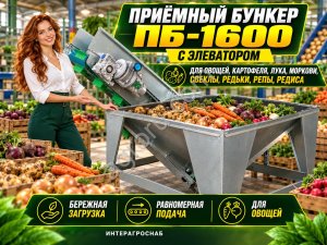 Приёмный бункер ПБ-1600 с элеватором для овощей, картофеля, лука, моркови, свеклы, редьки, репы, редиса