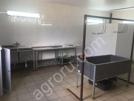 кролиководческая Ферма