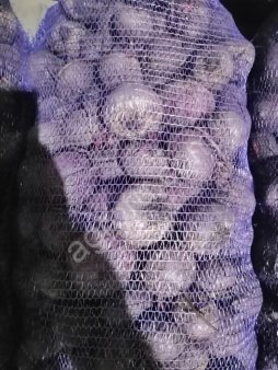 Свекла оптом ,урожай 2021