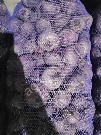 Свекла оптом ,урожай 2021