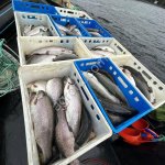 Форель премиум из Карелии