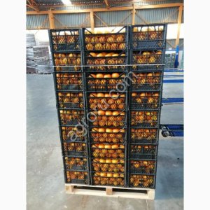 Апельсины Турция