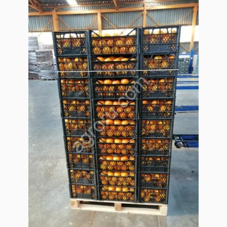 Апельсины Турция