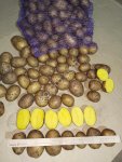 Картофель оптом из Беларуси, доставка в любой регион РФ, полный пакет документов, от 20 тонн, сорт Гала, калибр 5,5+, сетевой стандарт.