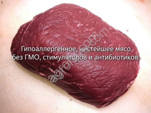 Оленина NORD MEAT оптом дичь с Ямала