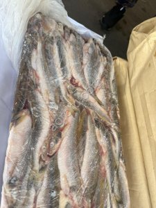 Корюшка нр 17+ икряная