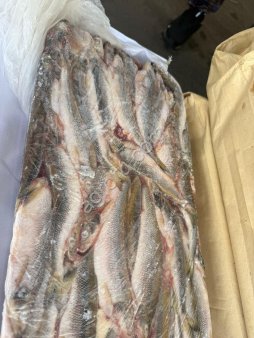 Корюшка нр 17+ икряная