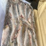 Корюшка нр 17+ икряная