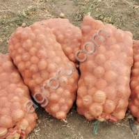 Лук от КФХ