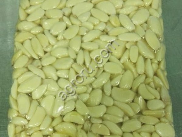 Чеснок очищенный в/у