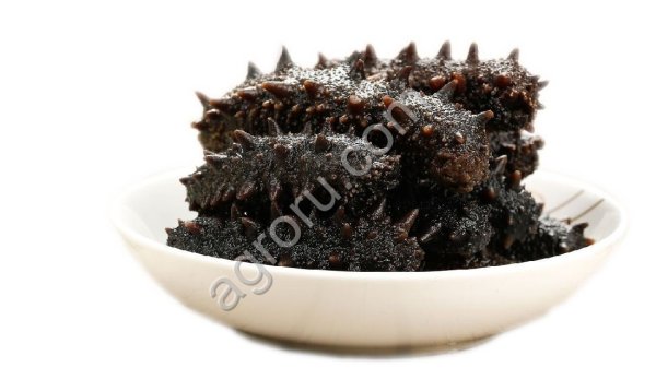 Трепанг варено-мороженный