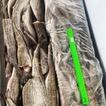 МИНТАЙ НР,БГ