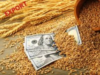 Пшеница 3-й, 4-й класс