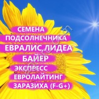 ГИБРИДЫ СЕМЕНА ПОДСОЛНЕЧНИКА ЕВРАЛИС/БАЙЕР/ЛИДЕЯ (EURALIS/BAYER/LIDEA)