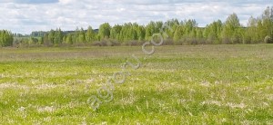 Земля Сельхоз назначения, Промышленного назначения