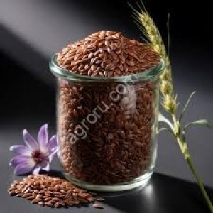 Лён масличный