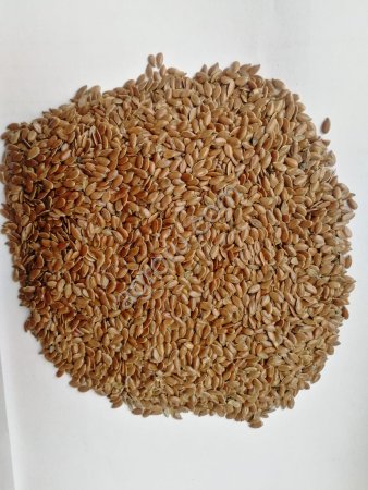 Лен золотистый