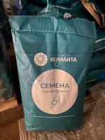 Гибрид подсолнечника Кречет