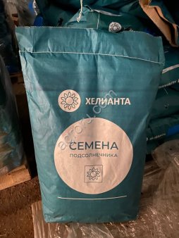 Гибрид подсолнечника Кречет